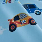 Auto gordijn
