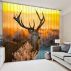 Eland foto gordijn